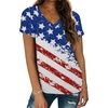 Usa Flag